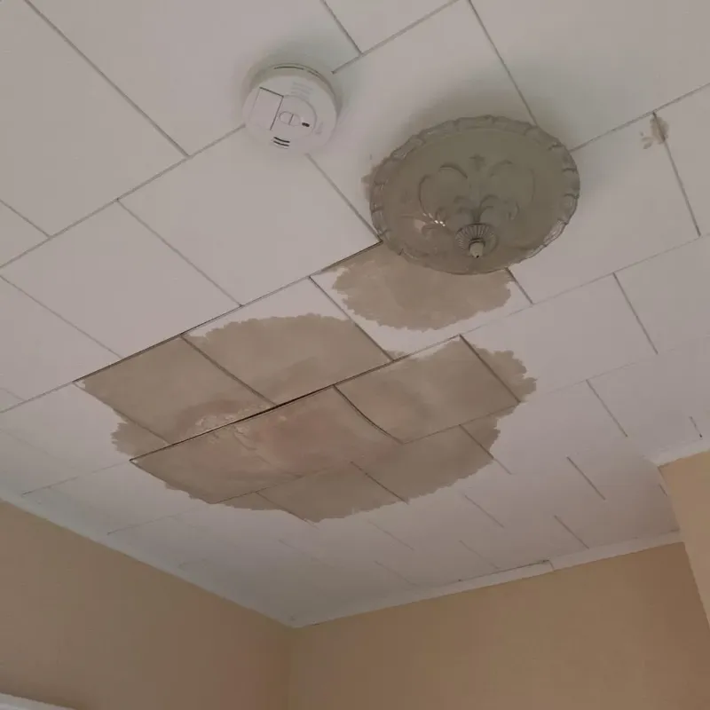 Ceiling Water Damage Repair in Keewatin, MN